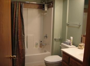 Bathroom view