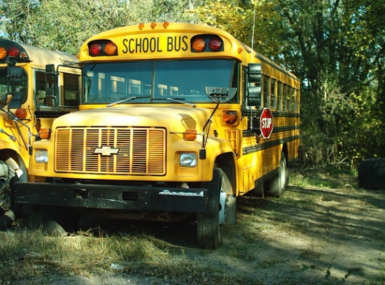 1993 Chevy Bluebird